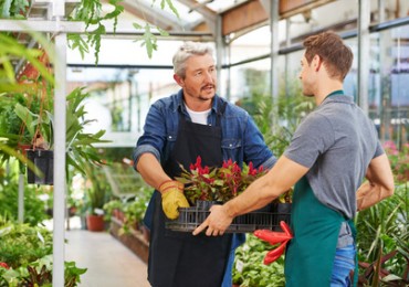 Mann macht Ausbildung beim Gärtner in Gärtnerei